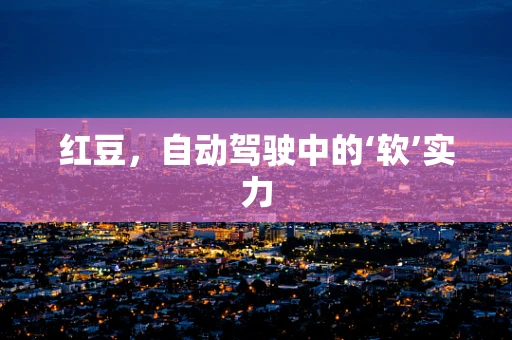 红豆，自动驾驶中的‘软’实力