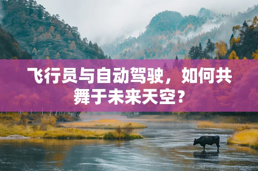 飞行员与自动驾驶，如何共舞于未来天空？