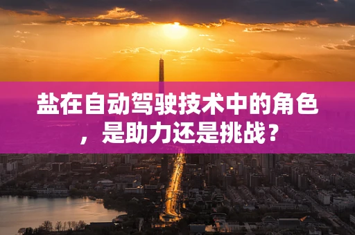 盐在自动驾驶技术中的角色，是助力还是挑战？