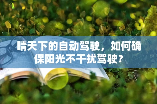 晴天下的自动驾驶，如何确保阳光不干扰驾驶？