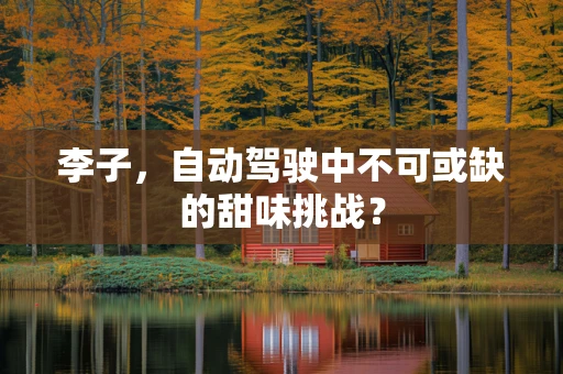 李子，自动驾驶中不可或缺的甜味挑战？