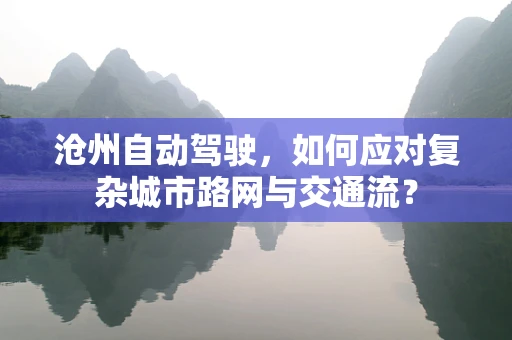 沧州自动驾驶，如何应对复杂城市路网与交通流？