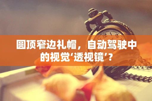 圆顶窄边礼帽，自动驾驶中的视觉‘透视镜’？