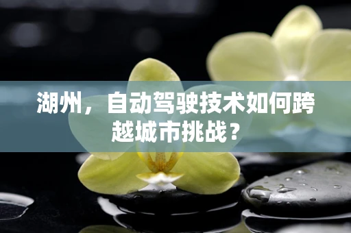 湖州，自动驾驶技术如何跨越城市挑战？