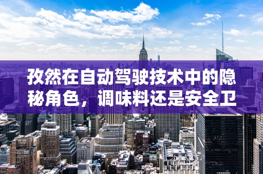 孜然在自动驾驶技术中的隐秘角色，调味料还是安全卫士？