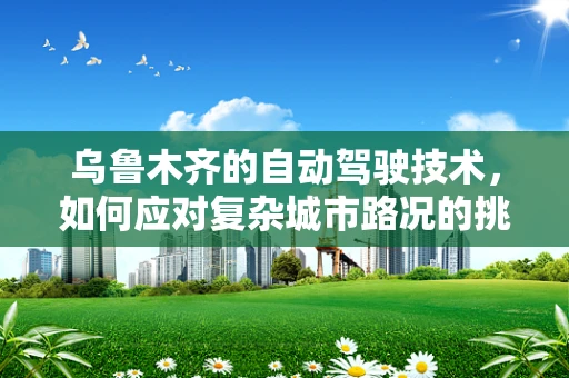 乌鲁木齐的自动驾驶技术，如何应对复杂城市路况的挑战？