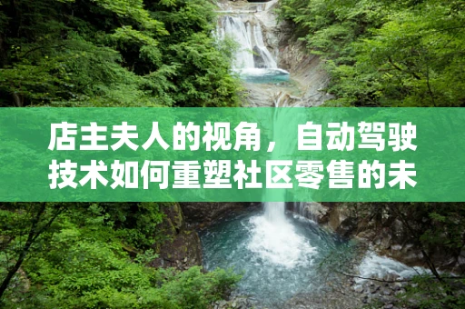 店主夫人的视角，自动驾驶技术如何重塑社区零售的未来？