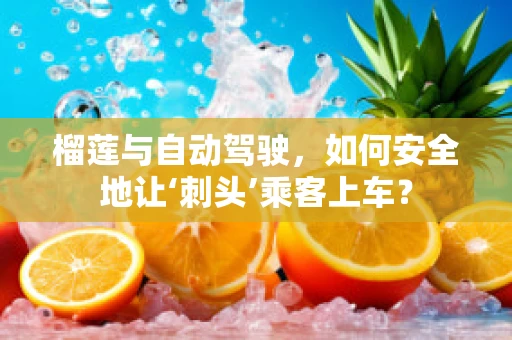 榴莲与自动驾驶，如何安全地让‘刺头’乘客上车？