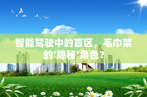 智能驾驶中的盲区，毛巾架的‘隐秘’角色？