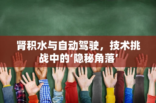 肾积水与自动驾驶，技术挑战中的‘隐秘角落’