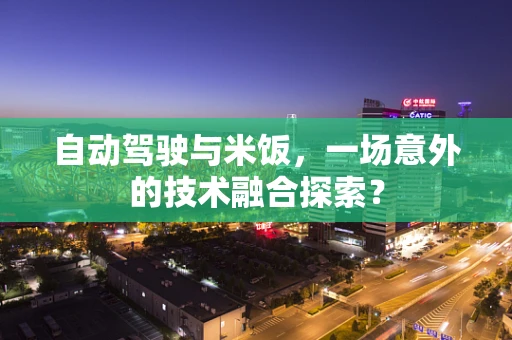 自动驾驶与米饭，一场意外的技术融合探索？