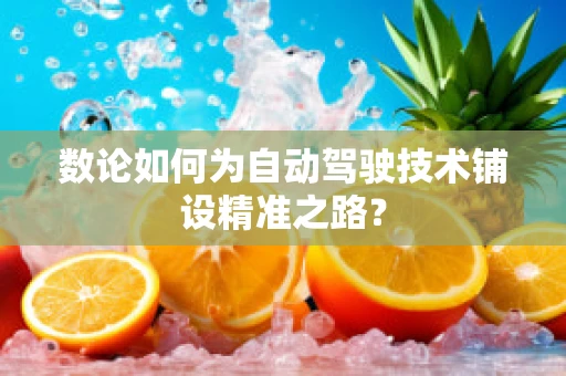 数论如何为自动驾驶技术铺设精准之路？