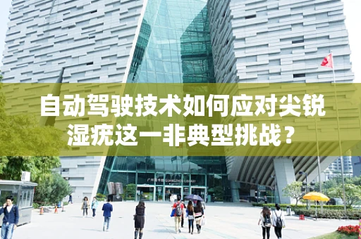 自动驾驶技术如何应对尖锐湿疣这一非典型挑战？