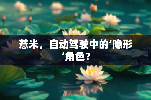 薏米，自动驾驶中的‘隐形’角色？