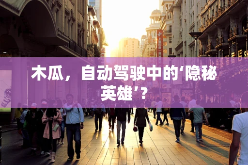 木瓜，自动驾驶中的‘隐秘英雄’？
