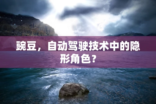 豌豆，自动驾驶技术中的隐形角色？