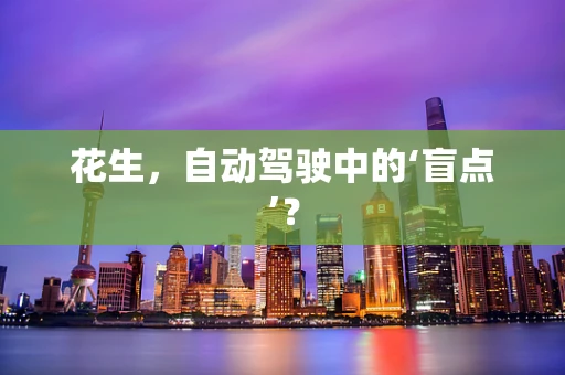 花生，自动驾驶中的‘盲点’？