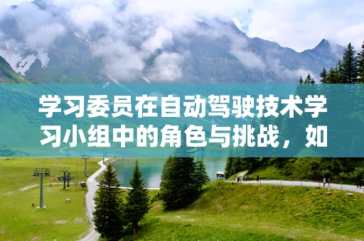 学习委员在自动驾驶技术学习小组中的角色与挑战，如何引领技术探索的航向？
