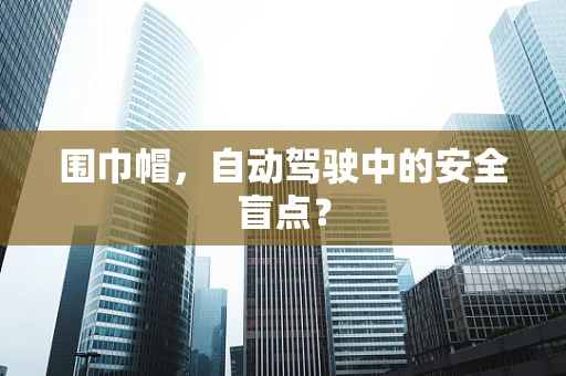 围巾帽，自动驾驶中的安全盲点？