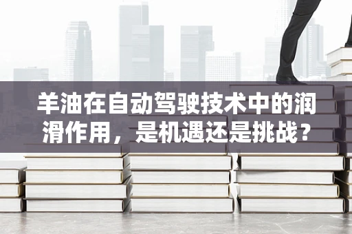 羊油在自动驾驶技术中的润滑作用，是机遇还是挑战？
