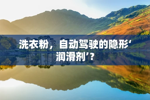 洗衣粉，自动驾驶的隐形‘润滑剂’？