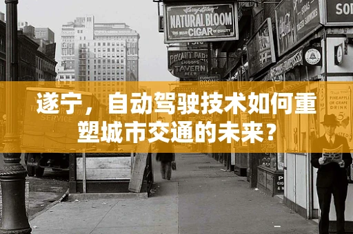 遂宁，自动驾驶技术如何重塑城市交通的未来？