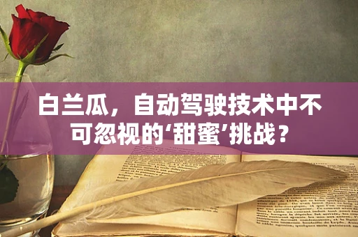 白兰瓜，自动驾驶技术中不可忽视的‘甜蜜’挑战？