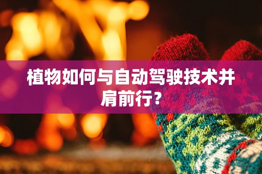 植物如何与自动驾驶技术并肩前行？