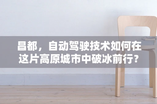 昌都，自动驾驶技术如何在这片高原城市中破冰前行？