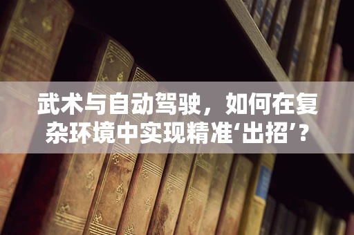 武术与自动驾驶，如何在复杂环境中实现精准‘出招’？