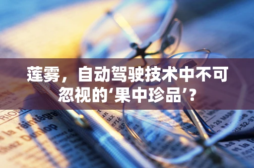 莲雾，自动驾驶技术中不可忽视的‘果中珍品’？