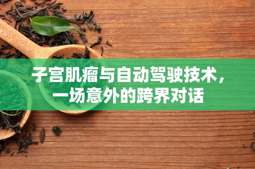 子宫肌瘤与自动驾驶技术，一场意外的跨界对话