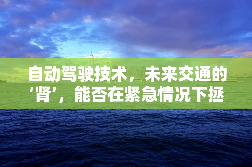 自动驾驶技术，未来交通的‘肾’，能否在紧急情况下拯救肾衰竭患者？