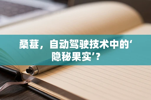 桑葚，自动驾驶技术中的‘隐秘果实’？