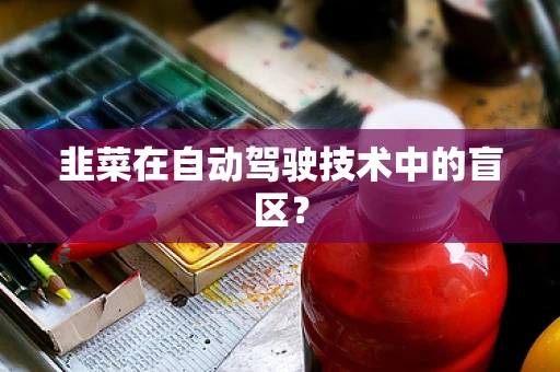 韭菜在自动驾驶技术中的盲区？
