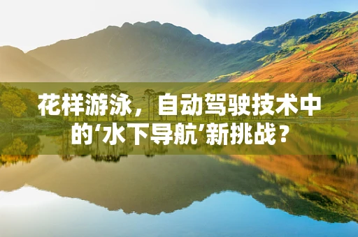 花样游泳，自动驾驶技术中的‘水下导航’新挑战？