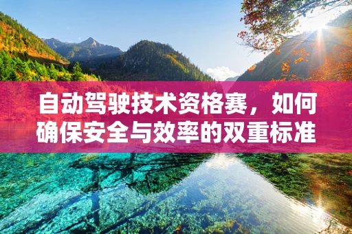 自动驾驶技术资格赛，如何确保安全与效率的双重标准？