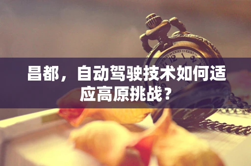 昌都，自动驾驶技术如何适应高原挑战？