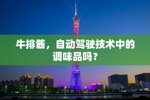 牛排酱，自动驾驶技术中的调味品吗？