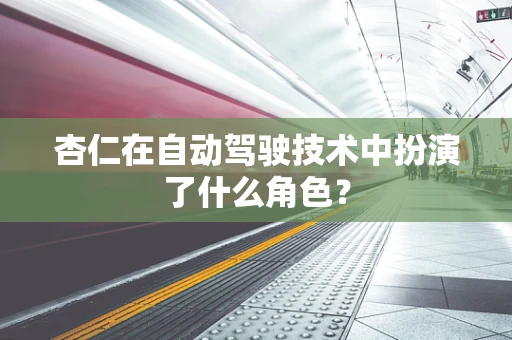杏仁在自动驾驶技术中扮演了什么角色？
