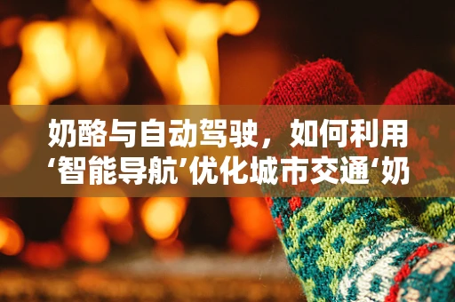 奶酪与自动驾驶，如何利用‘智能导航’优化城市交通‘奶酪区’？