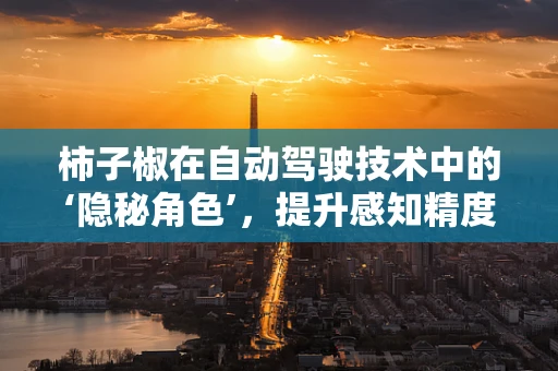 柿子椒在自动驾驶技术中的‘隐秘角色’，提升感知精度的秘密武器？
