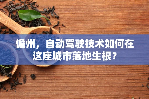 儋州，自动驾驶技术如何在这座城市落地生根？