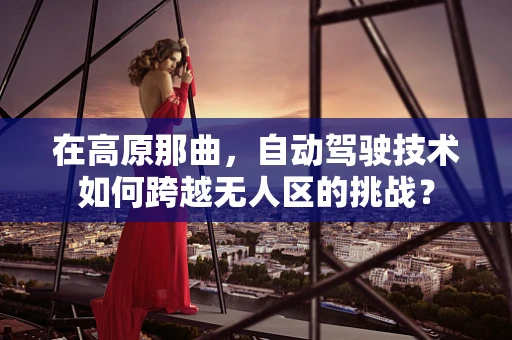在高原那曲，自动驾驶技术如何跨越无人区的挑战？