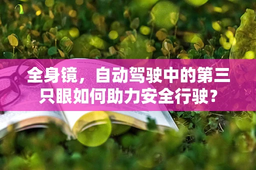 全身镜，自动驾驶中的第三只眼如何助力安全行驶？