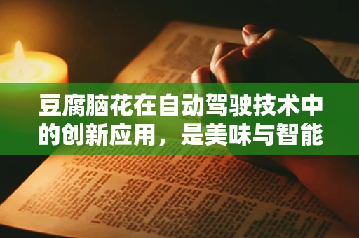 豆腐脑花在自动驾驶技术中的创新应用，是美味与智能的跨界融合吗？