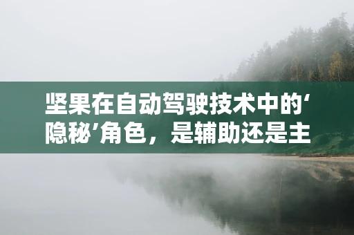 坚果在自动驾驶技术中的‘隐秘’角色，是辅助还是主角？