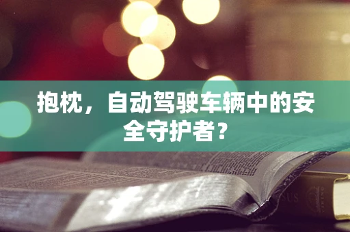 抱枕，自动驾驶车辆中的安全守护者？