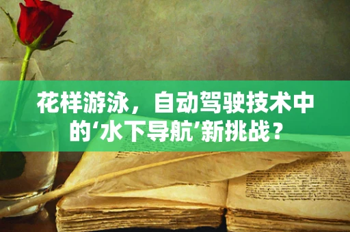 花样游泳，自动驾驶技术中的‘水下导航’新挑战？