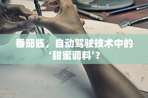 番茄酱，自动驾驶技术中的‘甜蜜调料’？